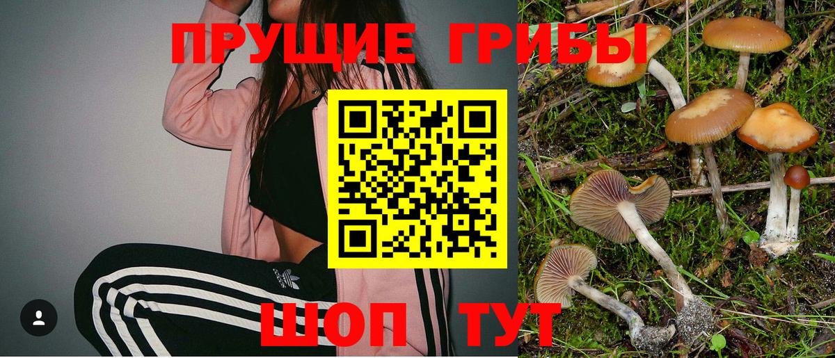 Галлюциногенные грибы прущие грибы Анжеро-Судженск