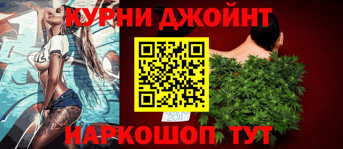 Конопля гибрид Анжеро-Судженск